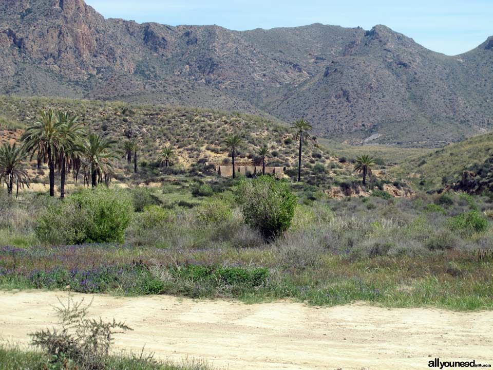 Sierra de las Moreras. Mazarrón