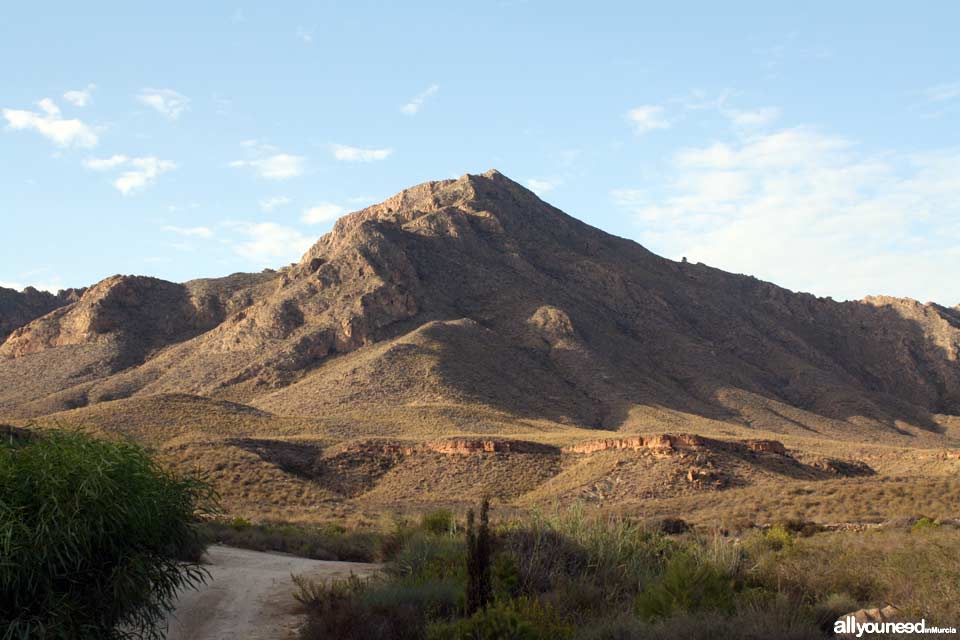 Sierra de las Moreras. Mazarrón