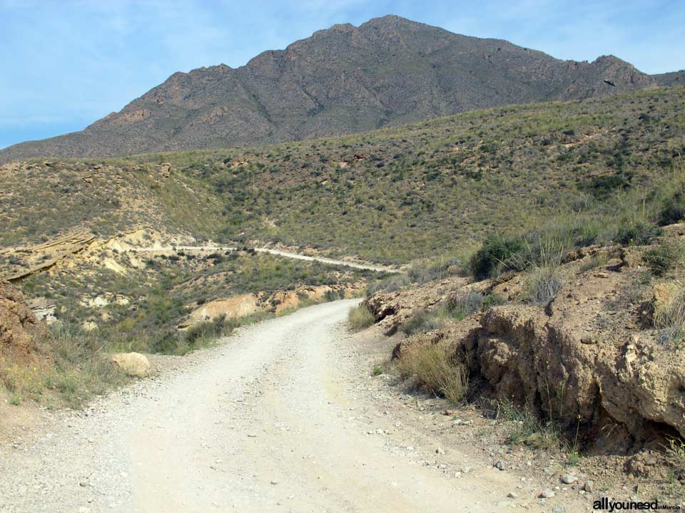 Sierra de las Moreras. Mazarrón