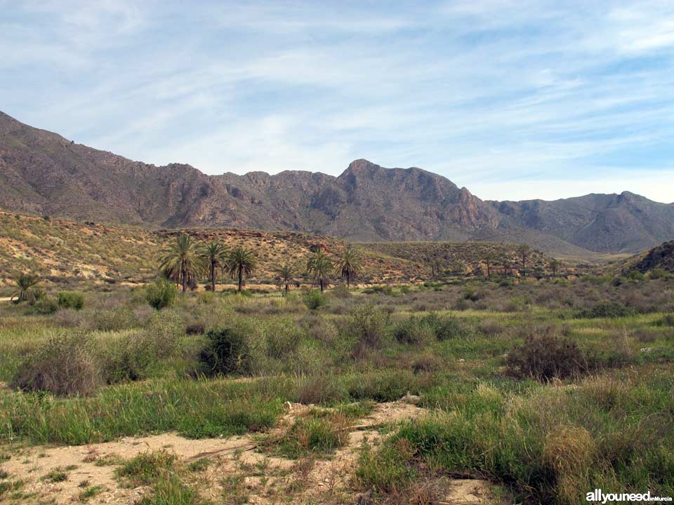 Sierra de las Moreras. Mazarrón