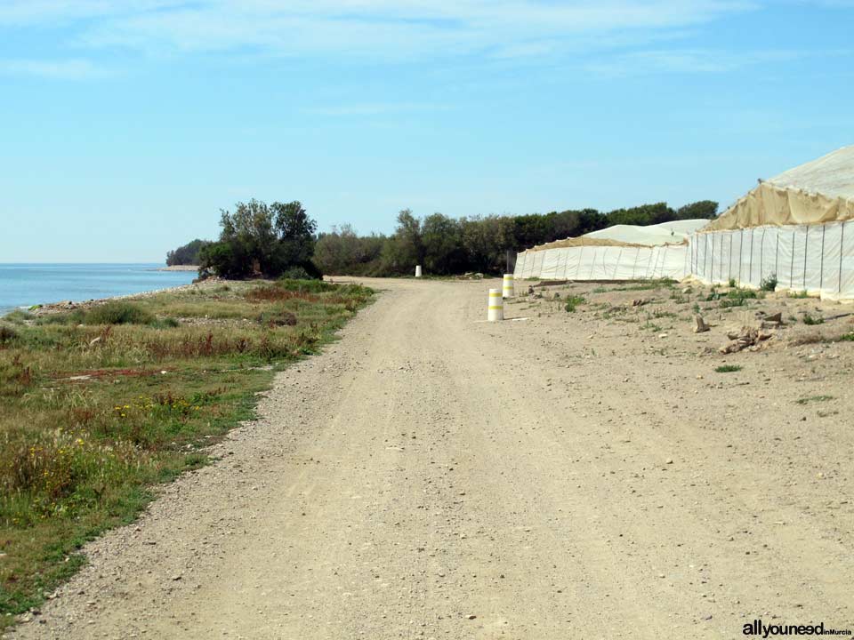 Orilla de la Playa hasta Percheles. Playas de Mazarrón