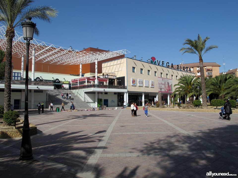 Centro Comercial Vega Plaza