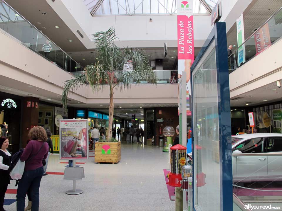 Centro Comercial Vega Plaza