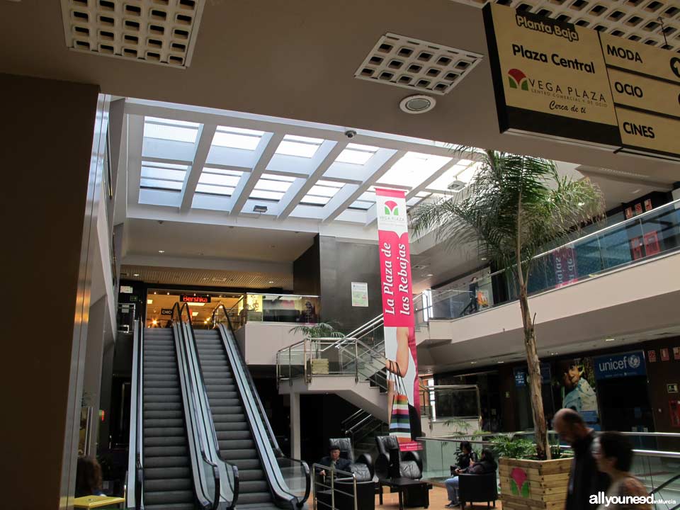 Centro Comercial Vega Plaza