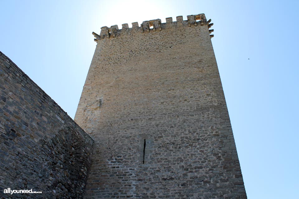 Castillo Fortaleza Moratalla. Murcia. Castillos de España