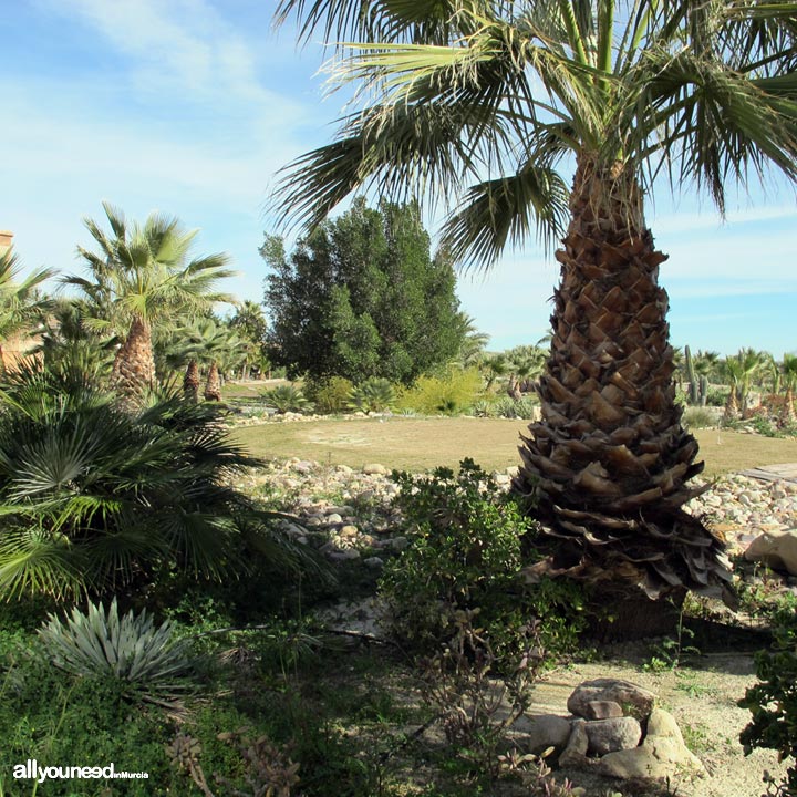 Mosa Trajectum. Campo de golf en Murcia