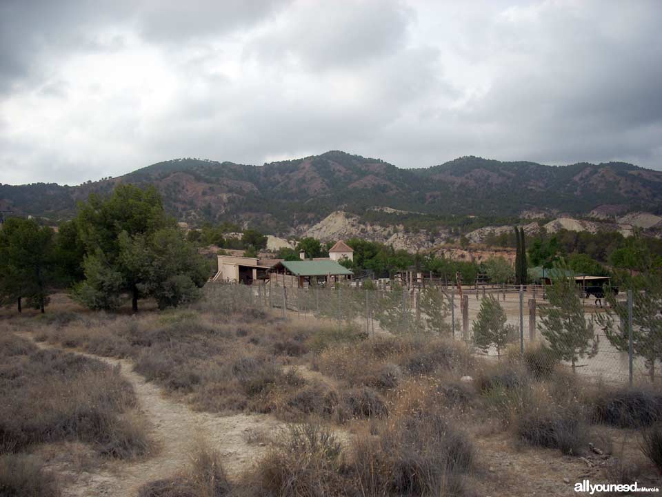 Finca la Constancia - Casas rurales en Murcia, Hípica, Tiro con arco