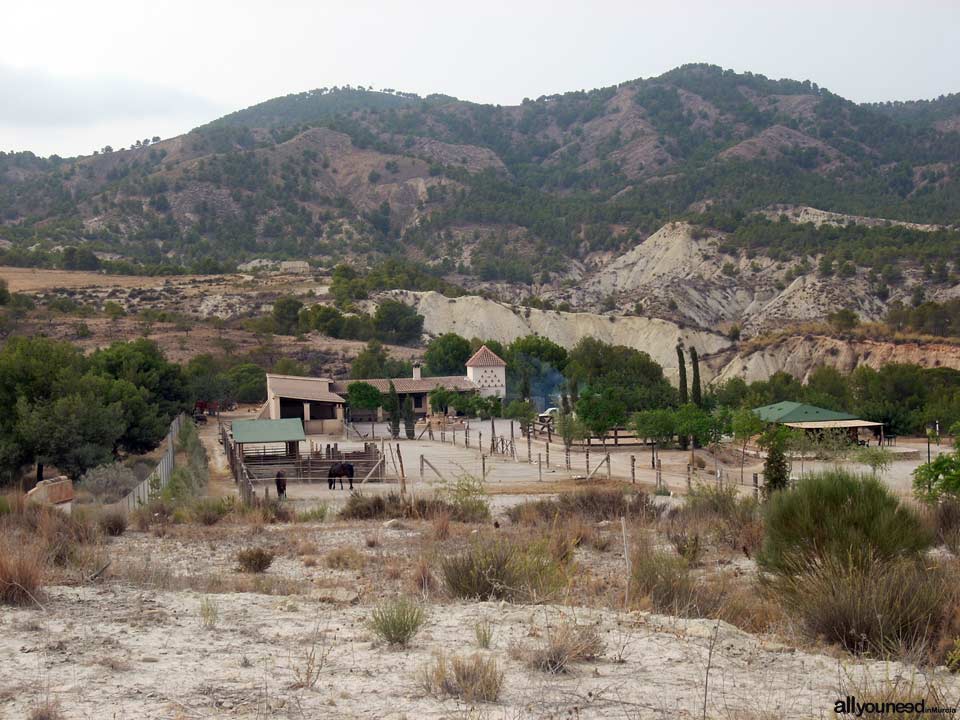 Finca la Constancia - Casas rurales en Murcia, Hípica, Tiro con arco