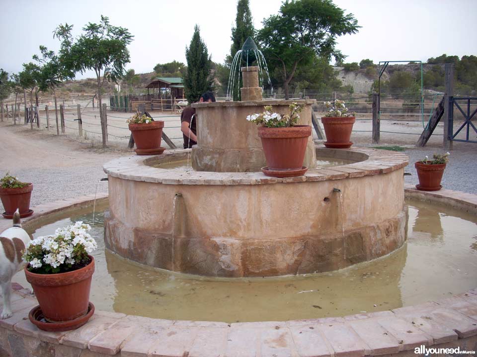 Finca la Constancia - Casas rurales en Murcia, Hípica, Tiro con arco