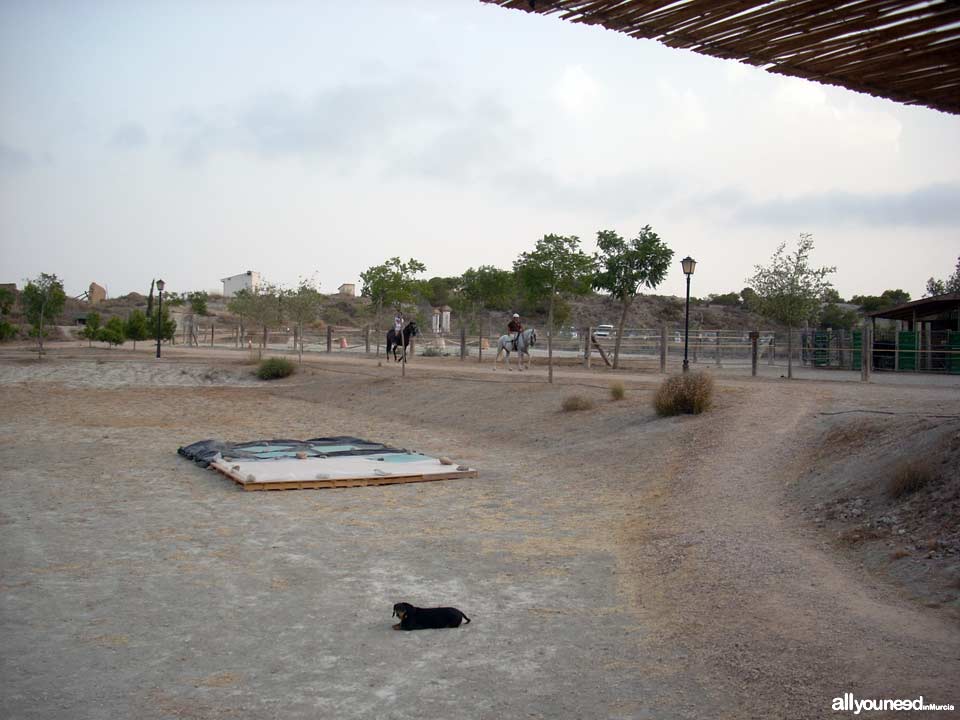 Finca la Constancia - Casas rurales en Murcia, Hípica, Tiro con arco