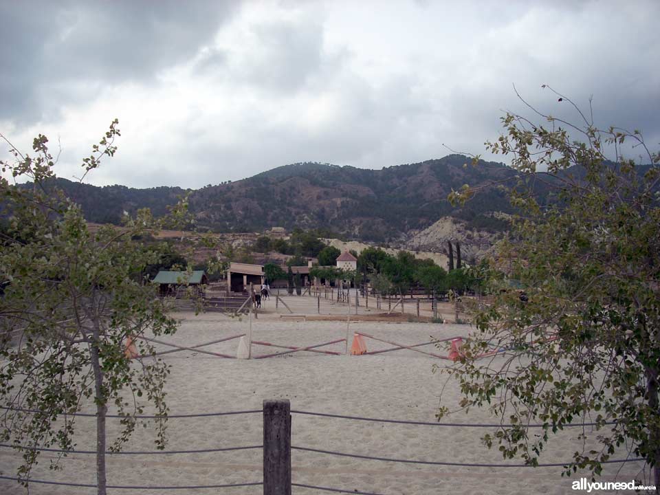 Finca la Constancia - Casas rurales en Murcia, Hípica, Tiro con arco