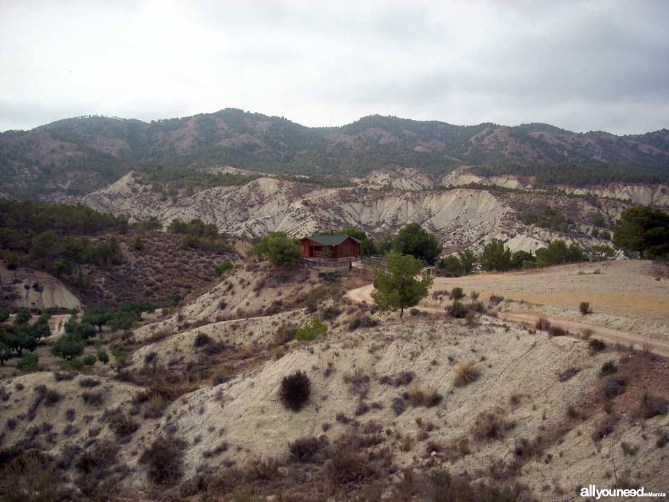 Finca la Constancia - Casas rurales en Murcia, Hípica, Tiro con arco