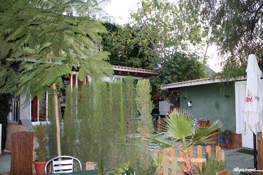 Hostel La Casa Verde en Murcia. Terraza - Bar