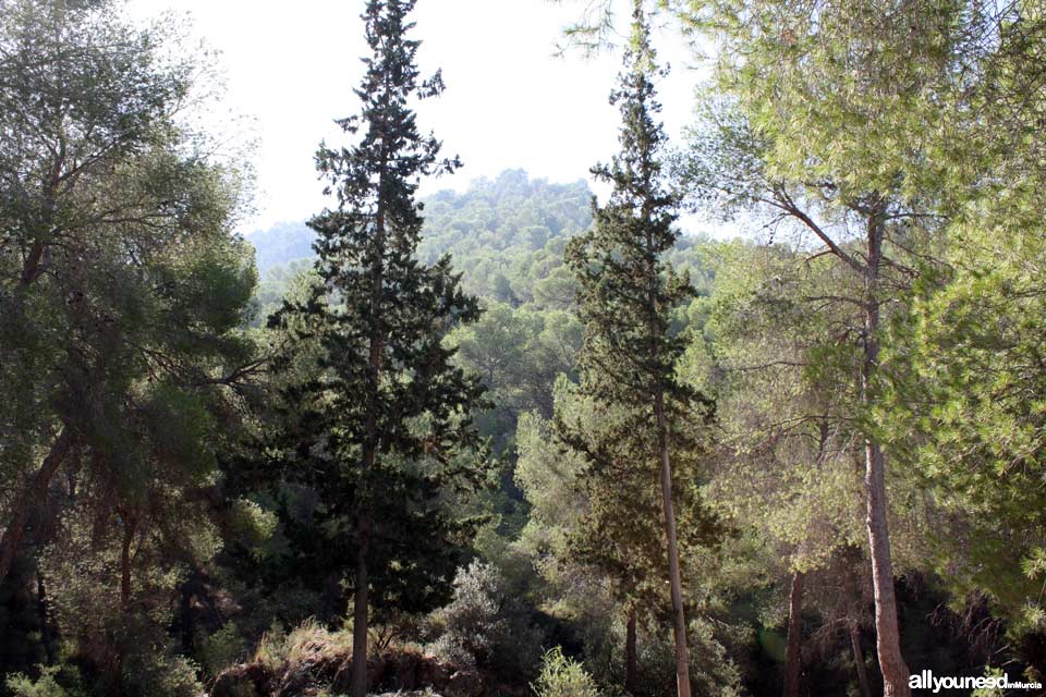 Albergue Juvenil El Valle en la Alberca