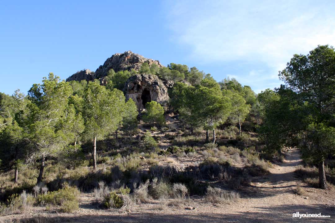 Portazgo Castle Route. Last slope. Collado Mosqueras