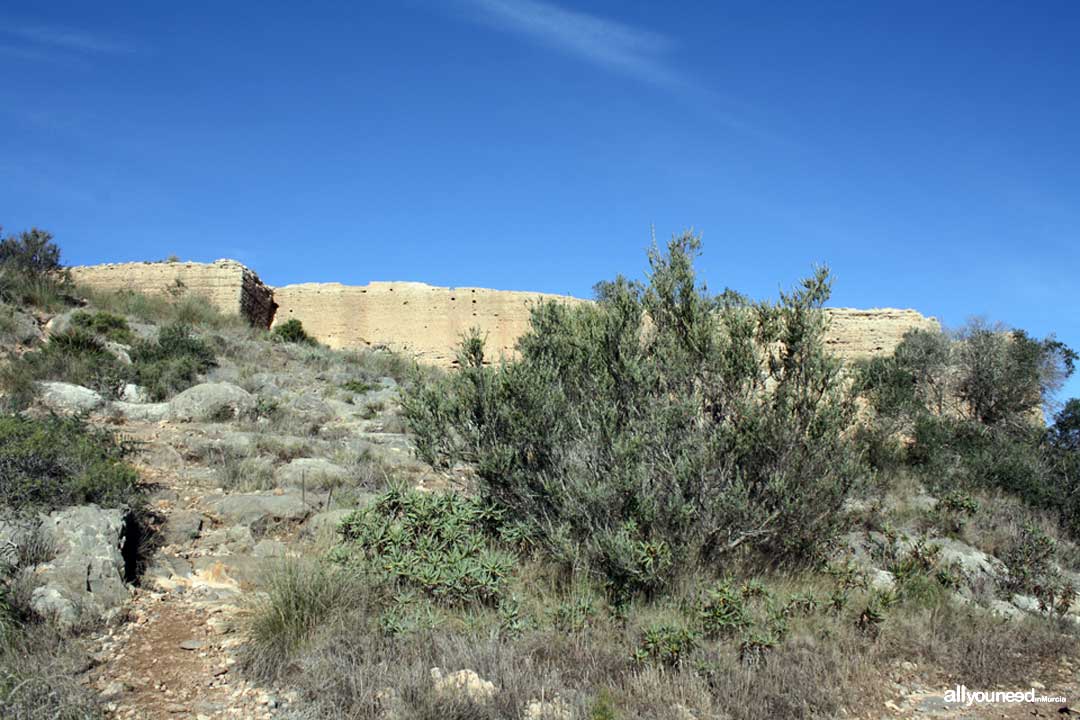 Ruta Castillo Portazgo. La falda del castillo de la Asomada