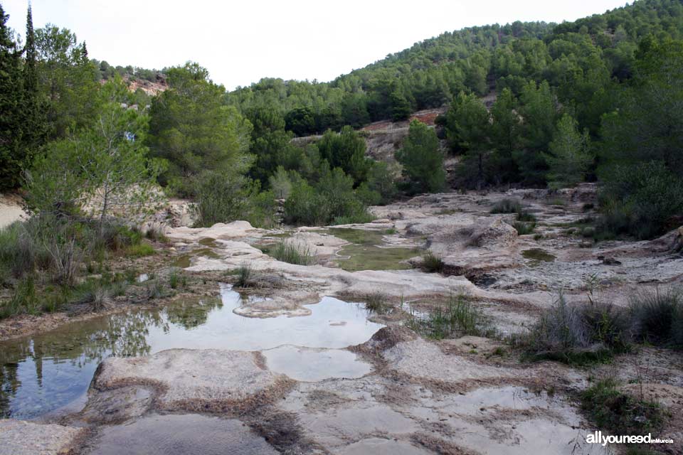 Portazgo Castle Route. Ravines