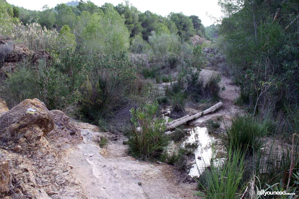 Ruta Castillo Portazgo