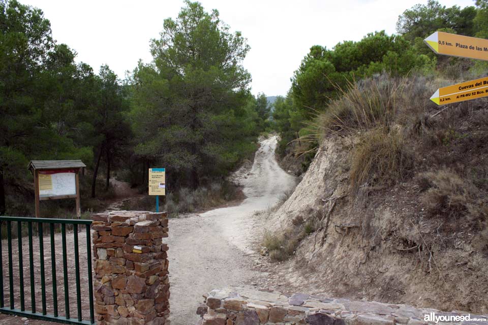 Cuevas del Buitre pathway.PR-MU35. The Majal Blanco