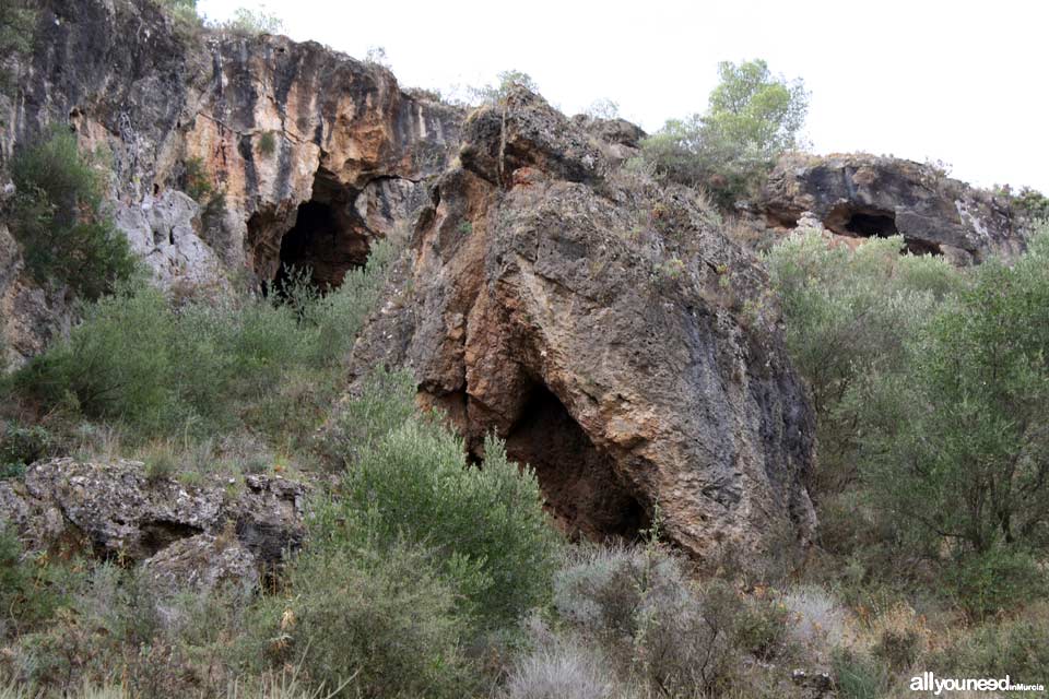 Cuevas del Buitre pathway.PR-MU35. The Majal Blanco