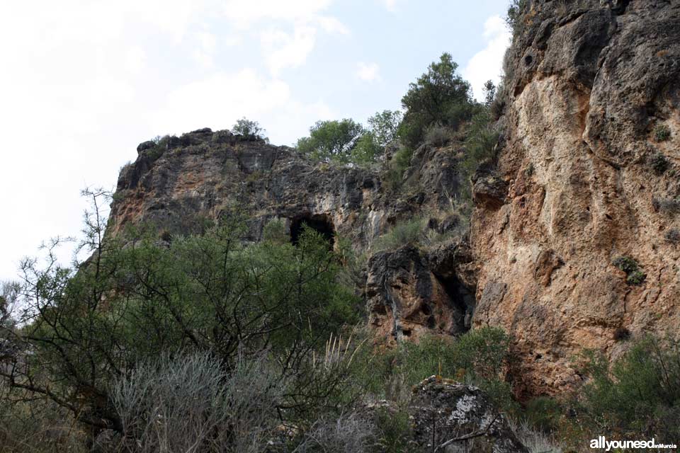 Cuevas del Buitre pathway.PR-MU35. The Majal Blanco