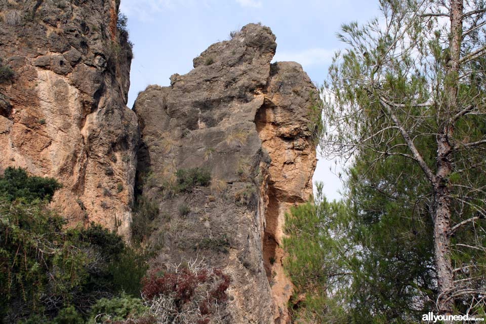 Cuevas del Buitre pathway.PR-MU35. The Majal Blanco