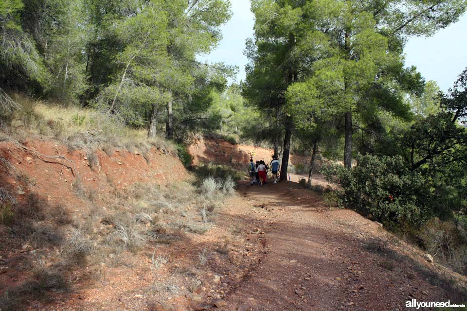 Cuevas del Buitre pathway.PR-MU35. The Majal Blanco