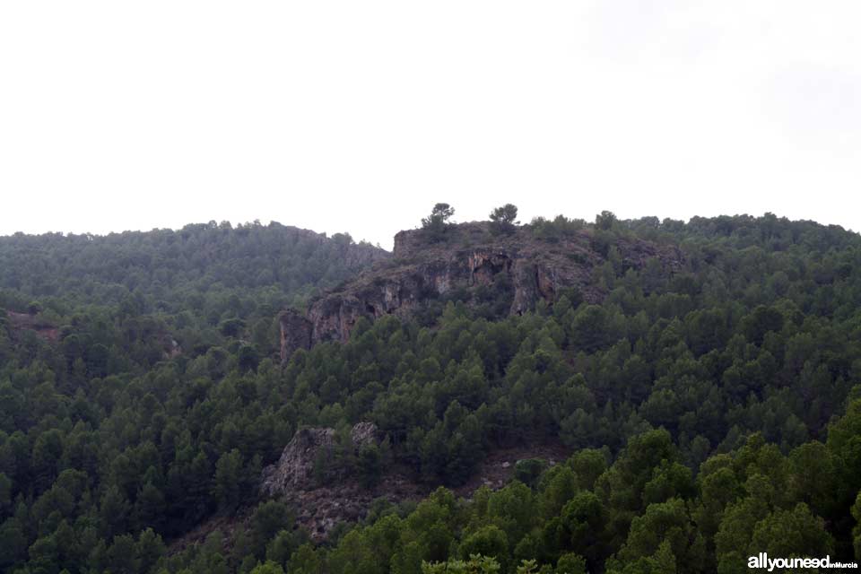 Cuevas del Buitre pathway.PR-MU35. The Majal Blanco