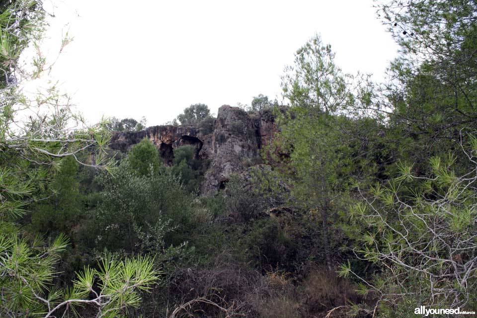 Sendero Cuevas del Buitre.PR-MU35. Senderismo por El Majal Blanco