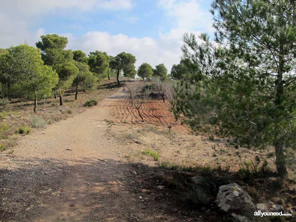 Sendero Pico del Águila. PR-MU55. Senderismo por el Majal Blanco en Murcia