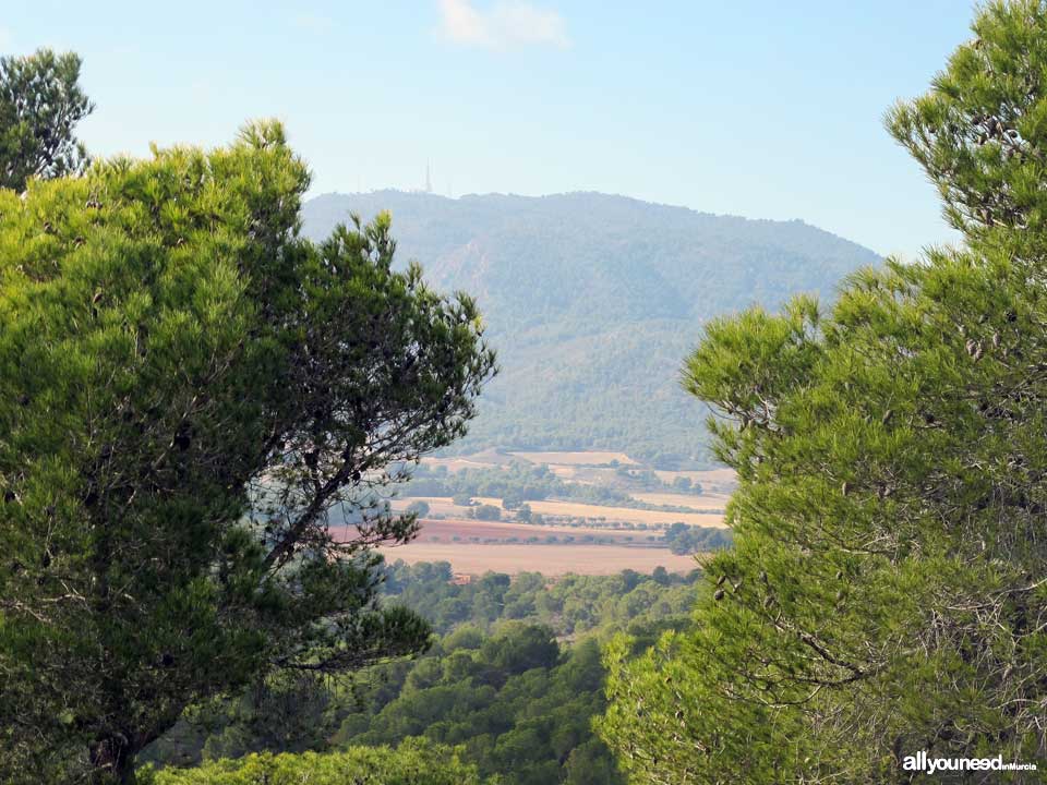 Sendero Pico del Águila. PR-MU55. Senderismo por el Majal Blanco en Murcia