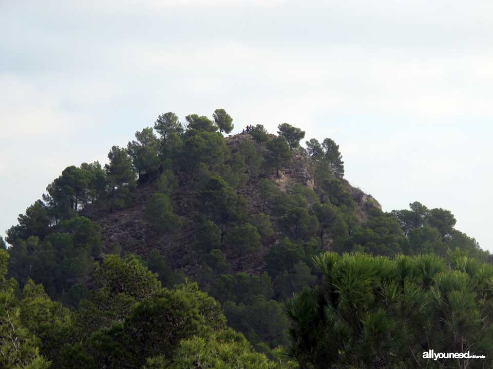 Pico del Águila Pathway. PR-MU55