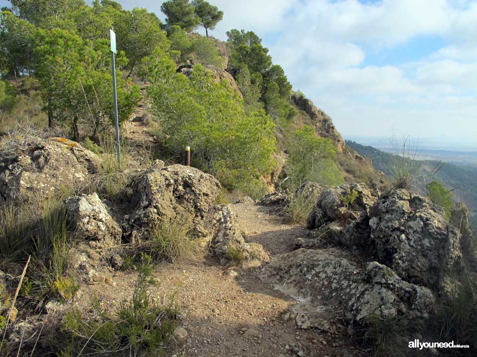 Sendero Pico del Águila. PR-MU55. Senderismo por el Majal Blanco en Murcia