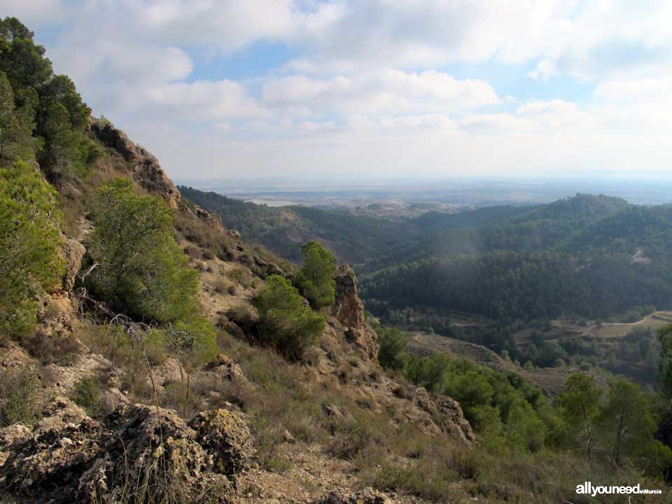 Pico del Águila Pathway. PR-MU55