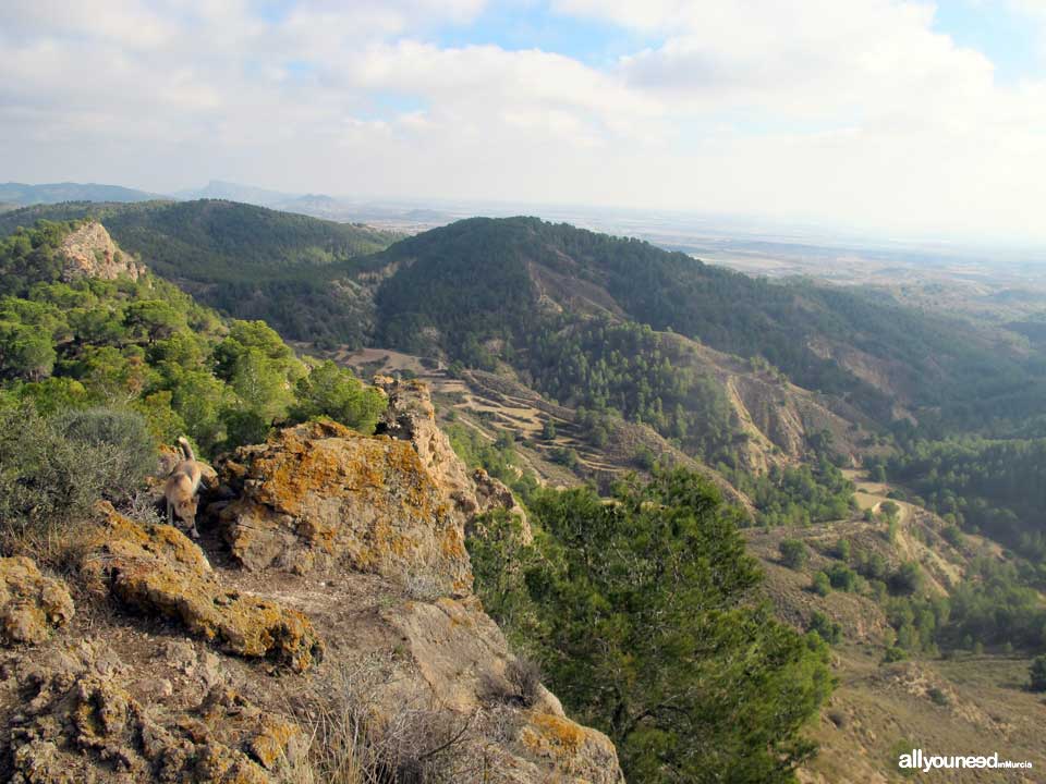 Sendero Pico del Águila. PR-MU55. Senderismo por el Majal Blanco en Murcia