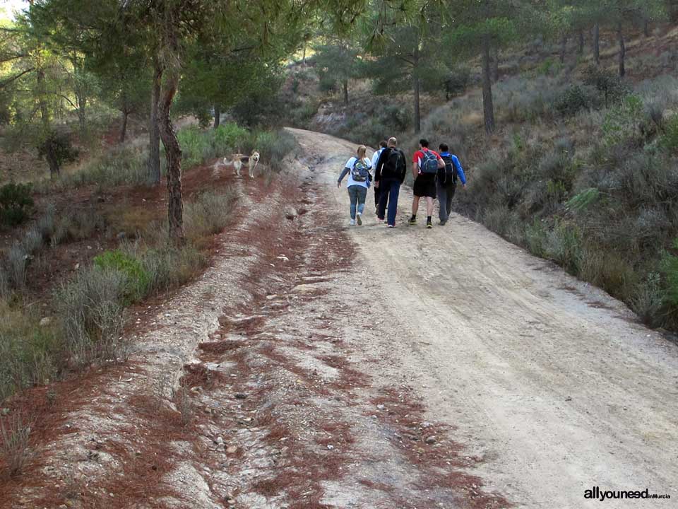 Sendero Pico del Águila. PR-MU55. Senderismo por el Majal Blanco en Murcia