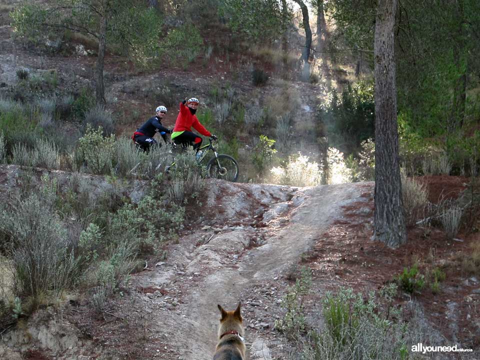 Sendero Pico del Águila. PR-MU55. Senderismo por el Majal Blanco en Murcia