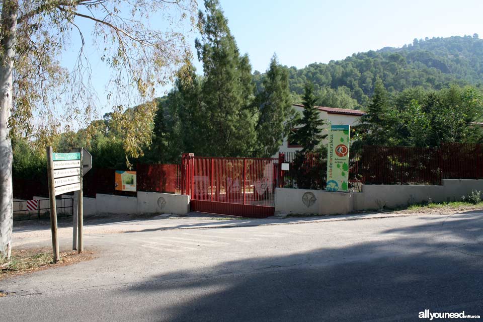 Aula de Naturaleza El Valle. Arboretum