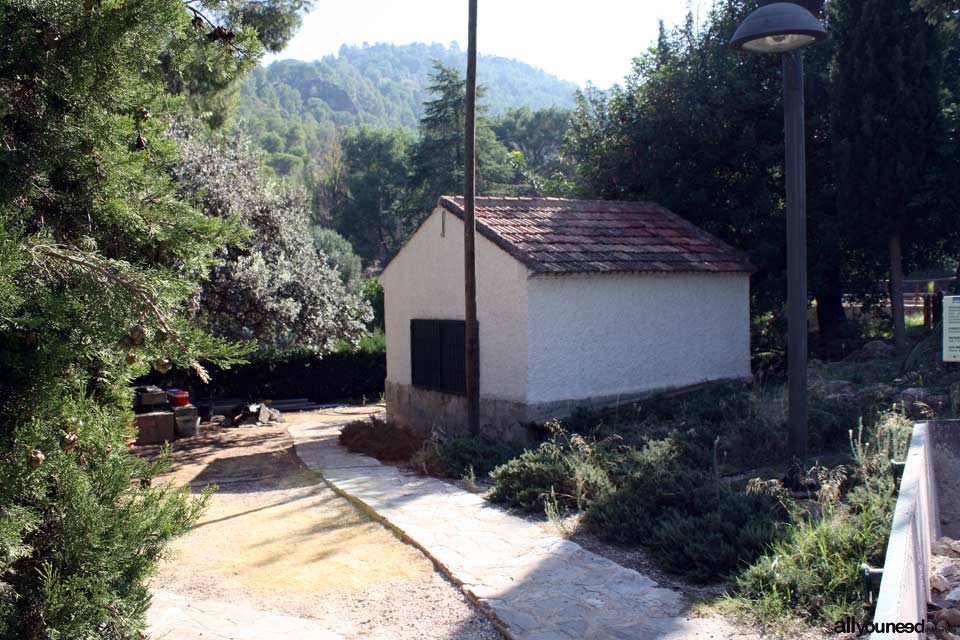 Aula de Naturaleza El Valle. Arboretum