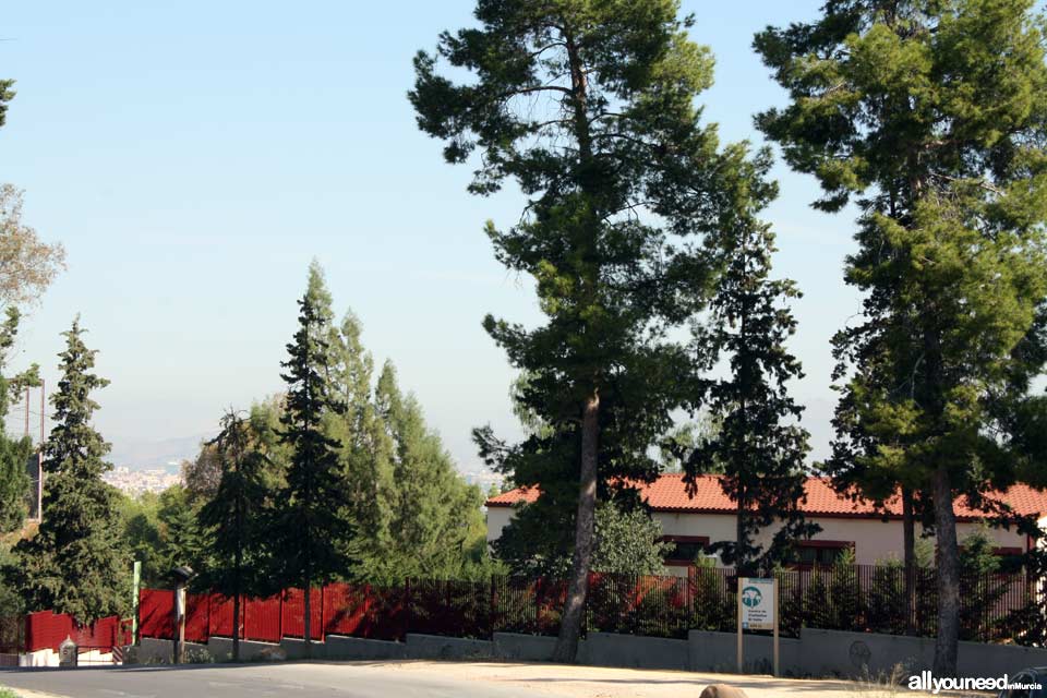 Aula de la Naturaleza El Valle - Arboretum - en Murcia