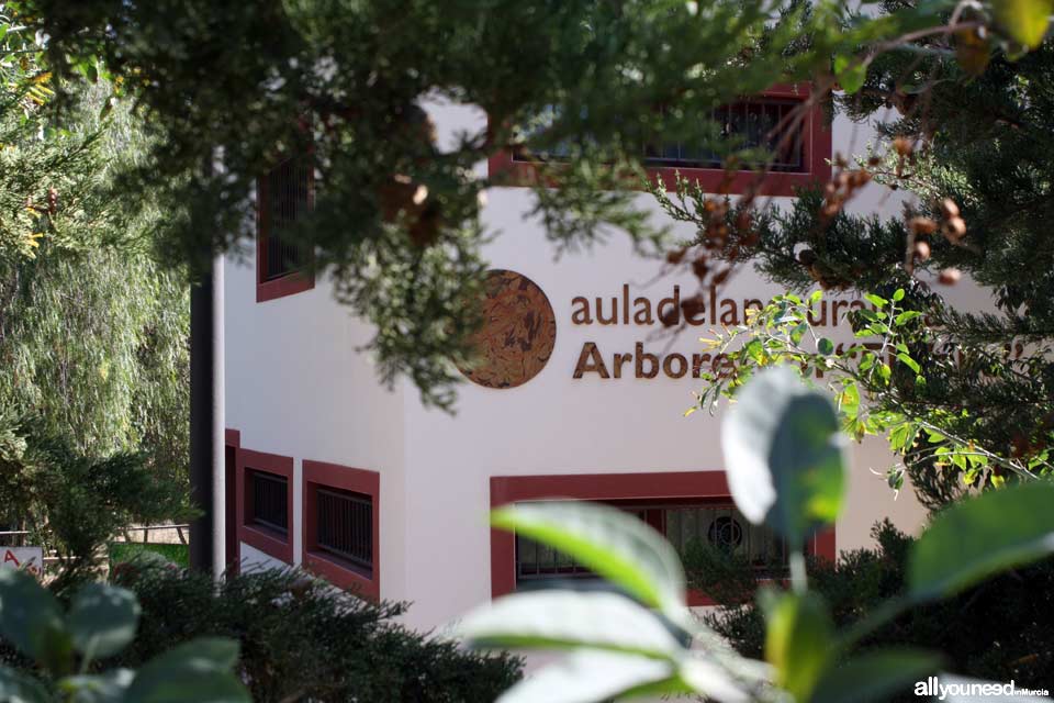 Aula de Naturaleza El Valle. Arboretum