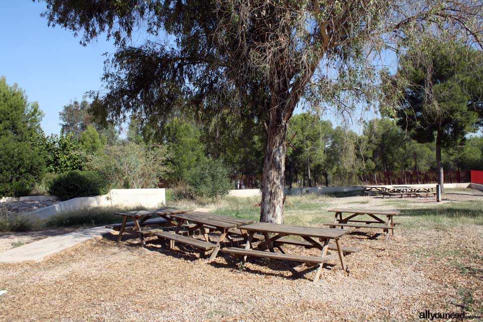 Valley Visitor Center in Murcia