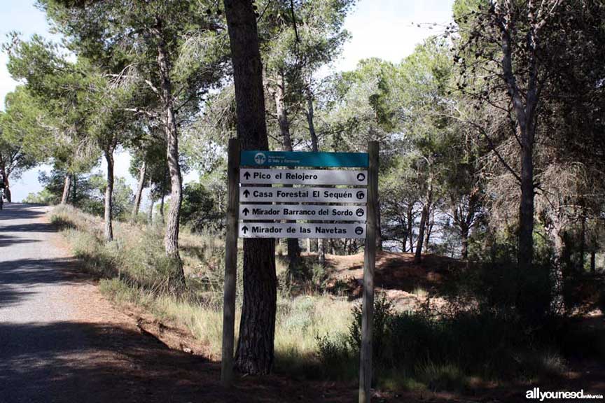 senderismo murcia rutas