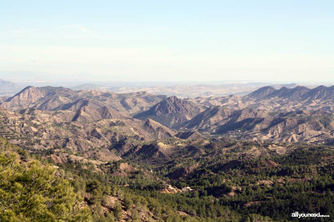 Ruta Cresta del Gallo-Pico del Relojero. Senderismo en Murcia