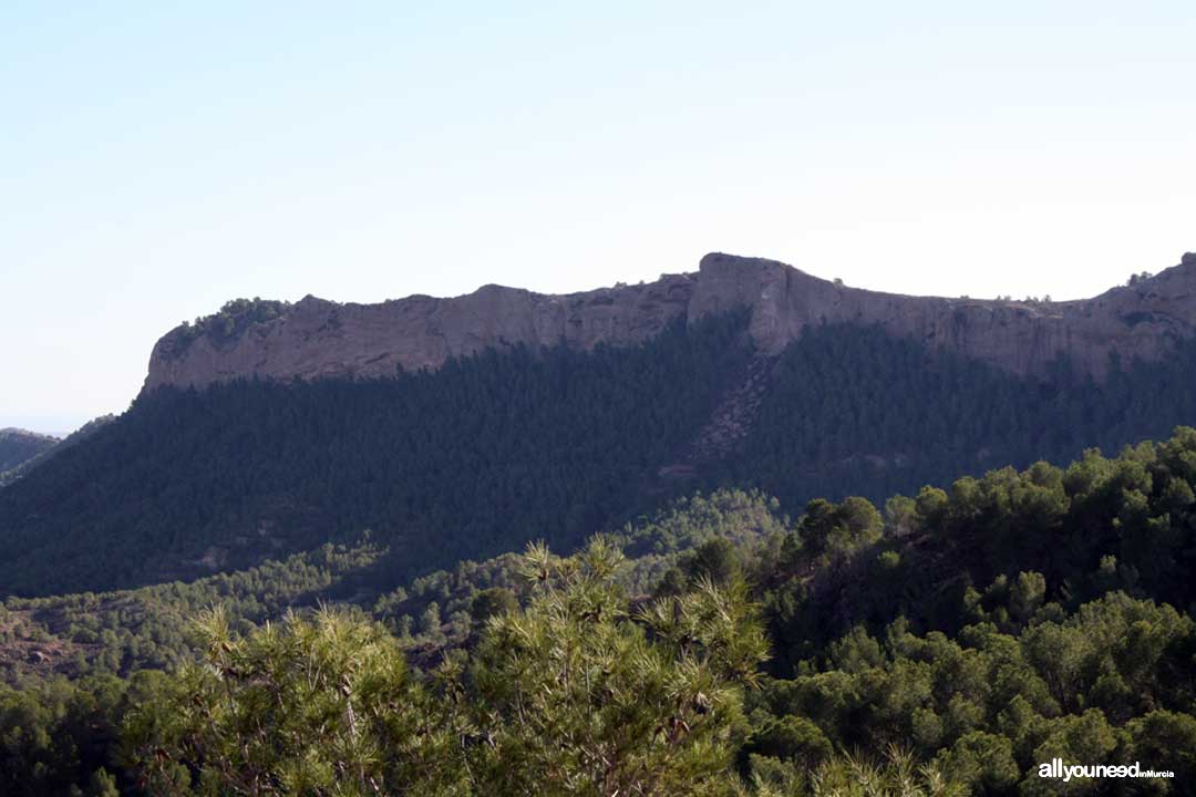 Ruta Cresta del Gallo-Pico del Relojero.  La Muralla de King-Kong. Senderismo en Murcia