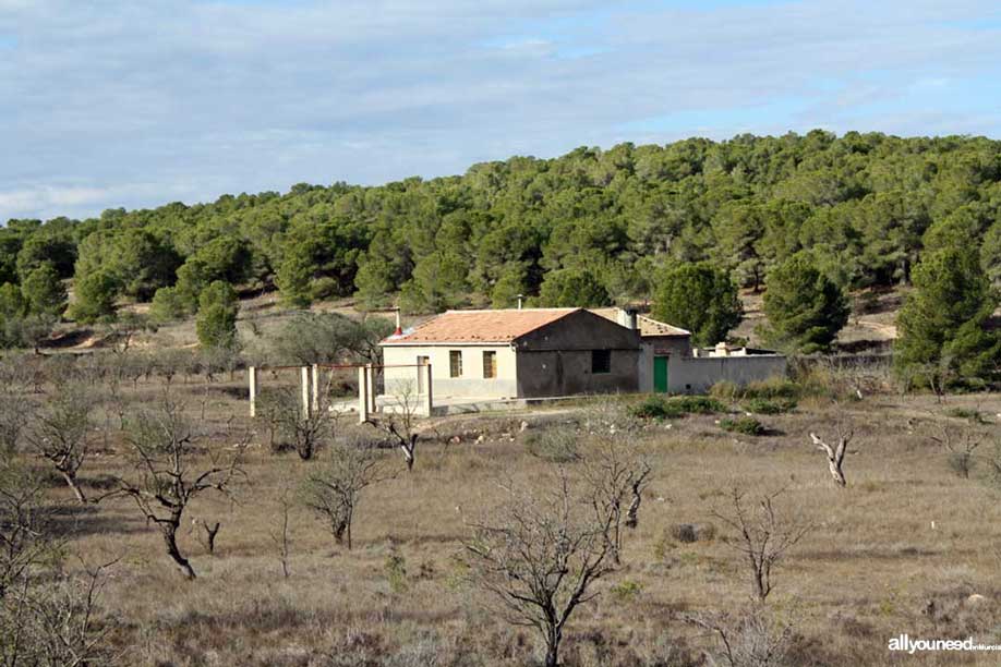 Ruta Cresta del Gallo-Pico del Relojero. Senderismo en Murcia