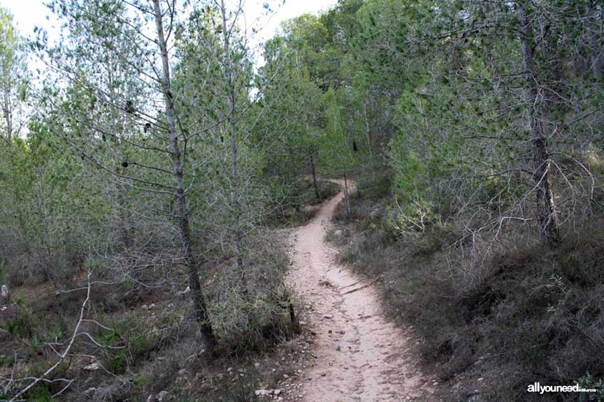 Ruta Cresta del Gallo-Pico del Relojero. Senderismo en Murcia