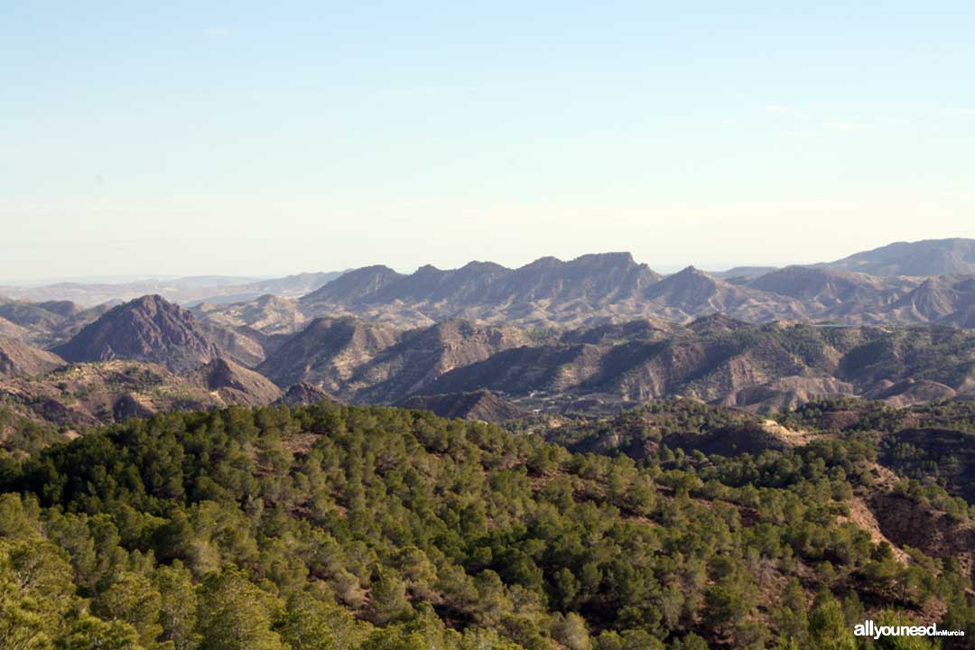 Ruta Cresta del Gallo-Pico del Relojero. Senderismo en Murcia