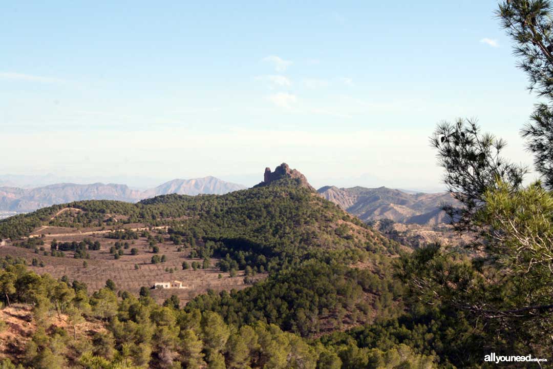 Ruta Cresta del Gallo-Pico del Relojero. Senderismo en Murcia