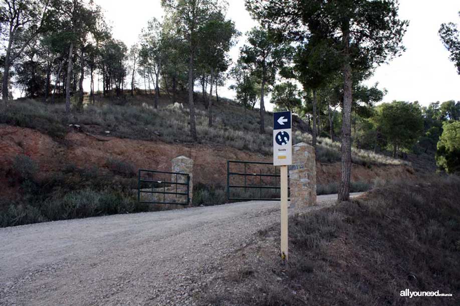 Ruta Cresta del Gallo-Pico del Relojero. Senda de acceso al Pico del Relojero. Senderismo en Murcia